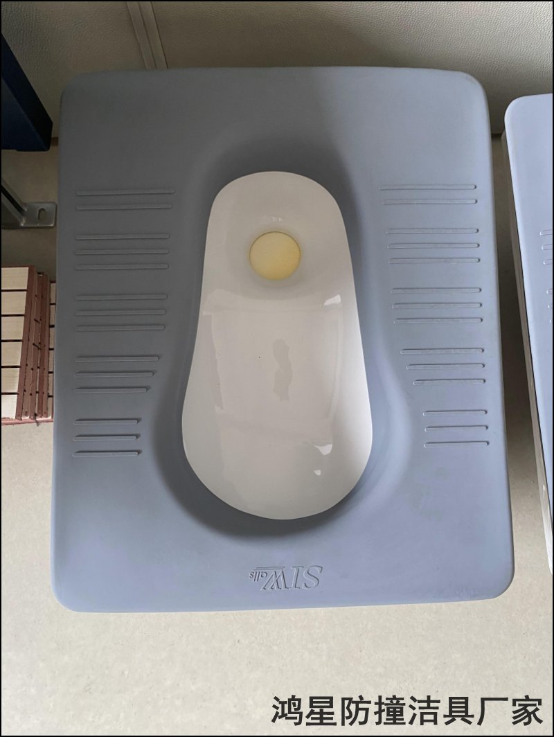 談話室軟包衛(wèi)生間安全防撞蹲便器案例工程圖.jpg